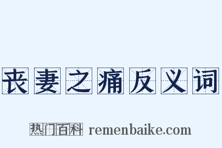 丧妻之痛反义词是什么意思的图片